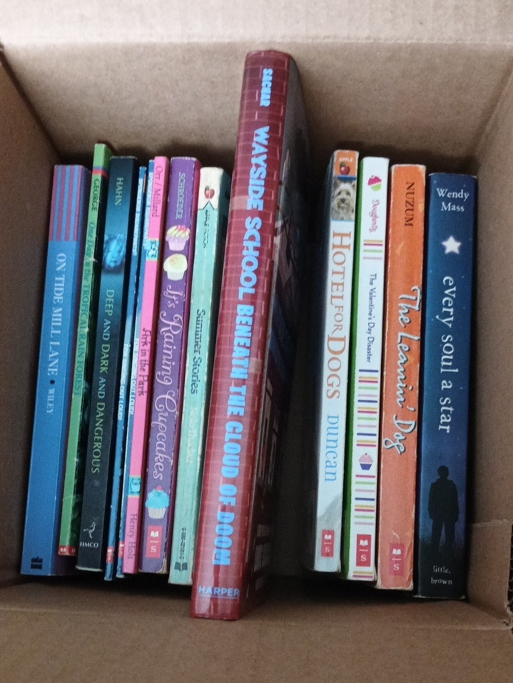 13 Kid Books Bundle